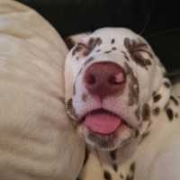 a753219e-1bdd-4c79-840d-c216cf7f8389