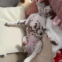 b65110bb-2708-4b7a-87dc-30e78eb5f36f