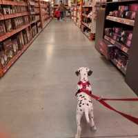 b6d614be-5747-4d0d-9049-7a81e56fbbaa