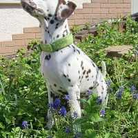 b6f0e07a-9669-4626-abca-bc3fe28275a5