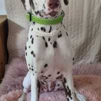 b9dc21b0-17c4-4452-b00e-833b553feb7a