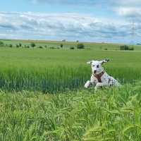 c78dd305-8a44-4929-9ec6-a8d5af719767