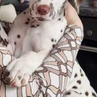 ceed836d-3642-40d0-8695-0391a8f3c802