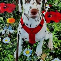 d71737ec-7b29-4c15-9145-be05bac55845