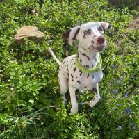 e1501899-5bb7-457d-8f45-04e77317a1d2