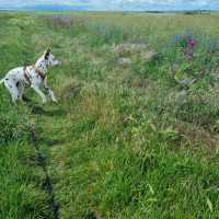 e76abaa6-4256-4e17-b3fa-18f5c9c770fb