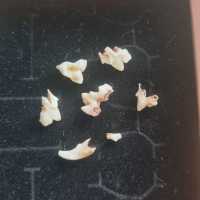 f55d9704-1d07-4244-b793-890f8736213e