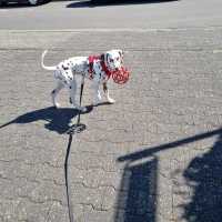 f9fd4ccf-0eef-4d8c-9953-6562fa4c683c