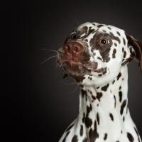 20251025_unbenannte-Fotosession_66128