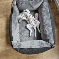 177ea315-df50-42f9-99f0-916bec8f1e88