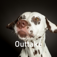 20260117_lui_66454_web_out