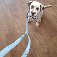 488641167_9808321415845598_4452103554840378110_n