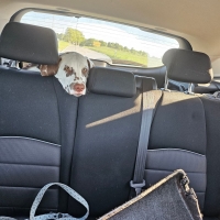 495894219_10096310870379983_6489208374132922774_n