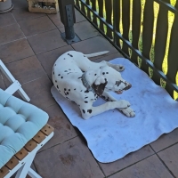 499981704_23925616430356193_7477506084496749113_n