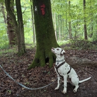 505588785_24082778684639966_4399356745108354607_n