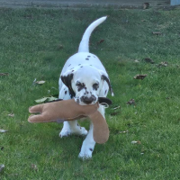 Screenshot-2025-03-15-213836