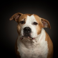 20251005_halvar_skadi_65725