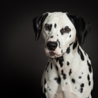 20251005_halvar_skadi_65866