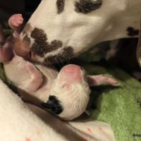 IMG_20250101_021822_web