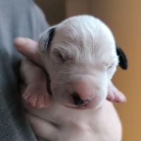 IMG_20250104_134815_web