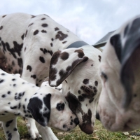 IMG_20250220_155920_1_web