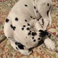 05e046a6-0065-456a-a486-9c9c09469dd0