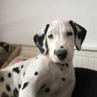 4886f49f-c833-4f40-9b94-ffb3c570d5ae