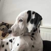 48cf1188-5c59-438c-860f-775ee74575a6