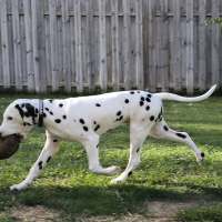 492525412_24283224897932500_8008215307817959342_n