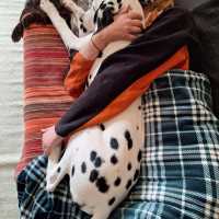 7340d460-d8de-402c-b6d8-cc34d9e47544