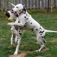 967a6a72-305e-408d-979d-0b8eefba348c