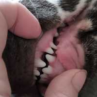 040680e1-5d31-4d5c-a07d-921b4f04d27a