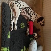 1eff6b4c-be01-412c-9108-1e6f486f4628