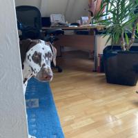 20250911_Theo_2