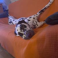 20251010_Theo1