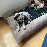 7cdc8d05-e859-4bd9-8676-330ef8472182