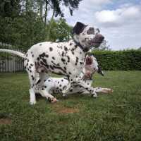 a192e66a-a3d7-4185-acd6-792e9ee74f5c