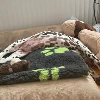 a65ac6d4-aeb7-45a1-89c7-422a60526b56