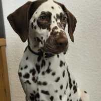 abca38c4-4ff0-4dfc-bedd-bb04cf0666db