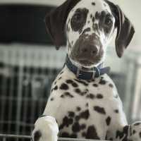 b0def93d-fac3-431b-ba5d-e1791ed06dd9