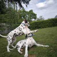 b46b8e4d-2edc-4e35-838a-368dd40e6801