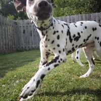 cff6e218-ba58-4a13-8205-106ae0683053