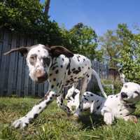 f6720265-0441-4ae7-8f37-3b513f9542f5