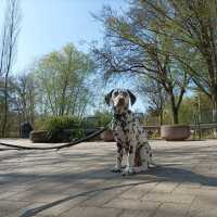 043050cb-d1ac-40dd-bff1-4ee2b153cc55