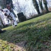 13aeef8f-9754-4598-bbea-a7bc0ba127b8