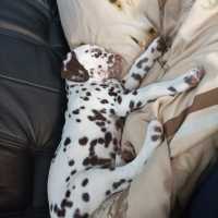 1f8d0a3a-f2b0-46b9-bc8d-0f6750384b77