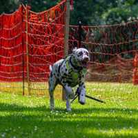 250d25d2-9396-4e20-9d72-1754dd1fb16f