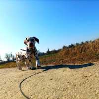 2e074e53-a16d-4d3c-b9a0-2e302e4641a5