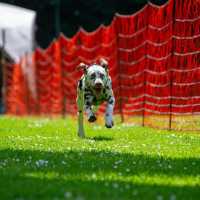 36a6ecc6-d536-44bc-bfdf-125676ba3d98