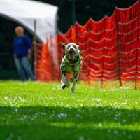 37e40b30-483a-4c54-8809-b19a16e775c1